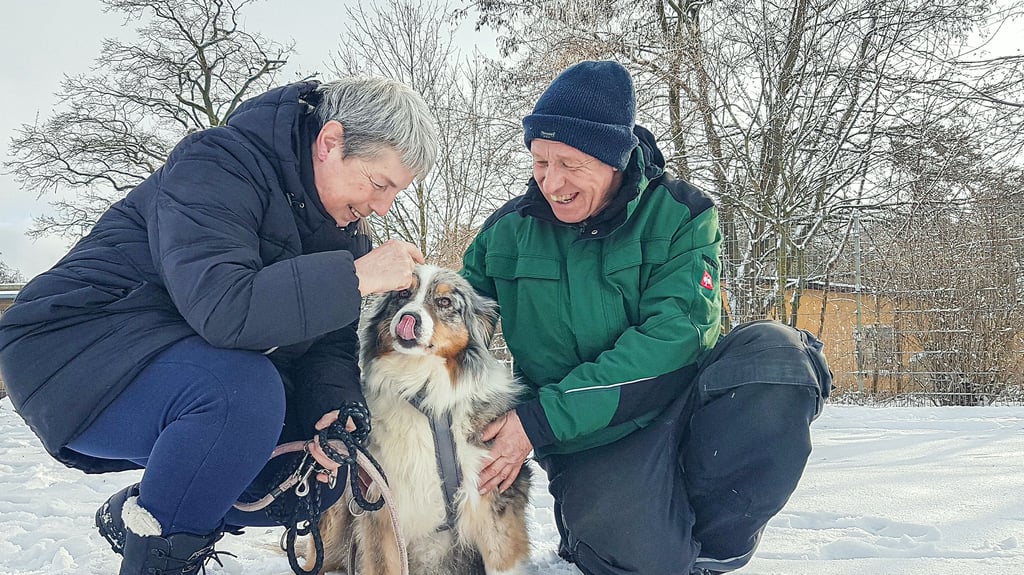 Vermittelt ins Glück: Hündin Chayenne (jetzt Merle) mit ihren neuen Besitzern Silke und Detlef Polte. Sie haben sie am Dienstag aus dem Tierheim Stendal abgeholt. Es gab 14 weitere Interessenten für die Australien-Shepherd-Hündin, die von der Feuerwehr aus einem vereisten Fluss gerettet wurde.&nbsp;&nbsp;