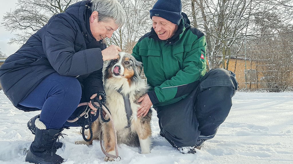 Vermittelt ins Glück: Hündin Chayenne (jetzt Merle) mit ihren neuen Besitzern Silke und Detlef Polte. Sie haben sie am Dienstag aus dem Tierheim Stendal abgeholt. Es gab 14 weitere Interessenten für die Australien-Shepherd-Hündin. 