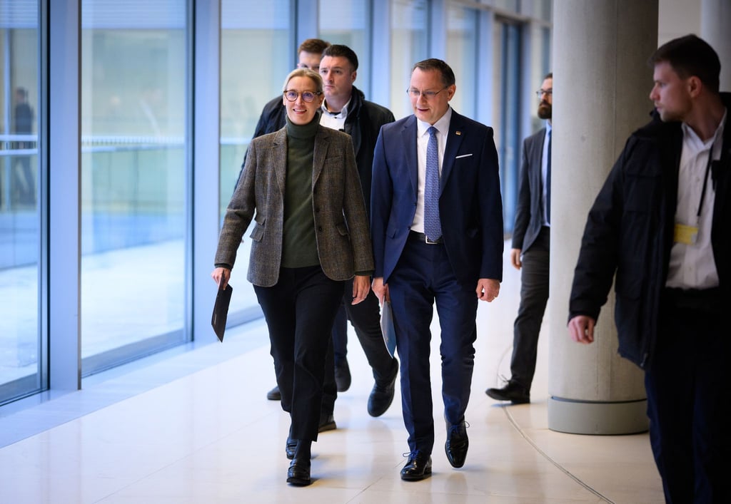 Die „Arbeitsgruppe Regierungsverantwortung“ soll auf eine Initiative der Parteichefs Alice Weidel und Tino Chrupalla zurückgehen.