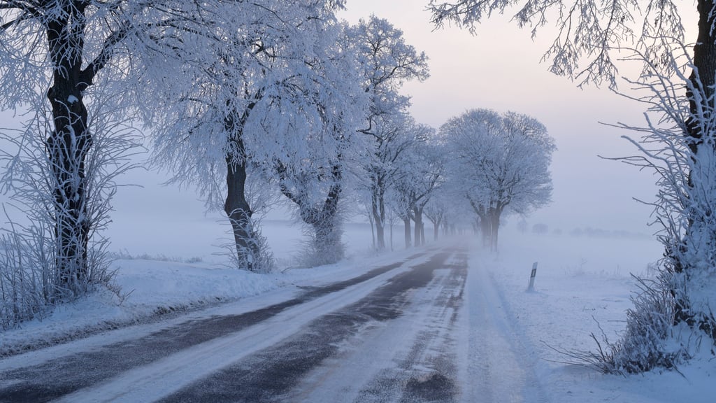 Der Winter ist noch längst nicht vorbei. Experten rechnen damit, dass im Februar eine extreme Kältewelle zu erwarten ist.