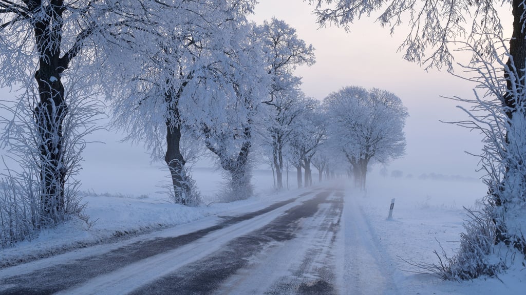 Der Winter ist noch längst nicht vorbei. Experten rechnen damit, dass im Februar eine extreme Kältewelle zu erwarten ist.