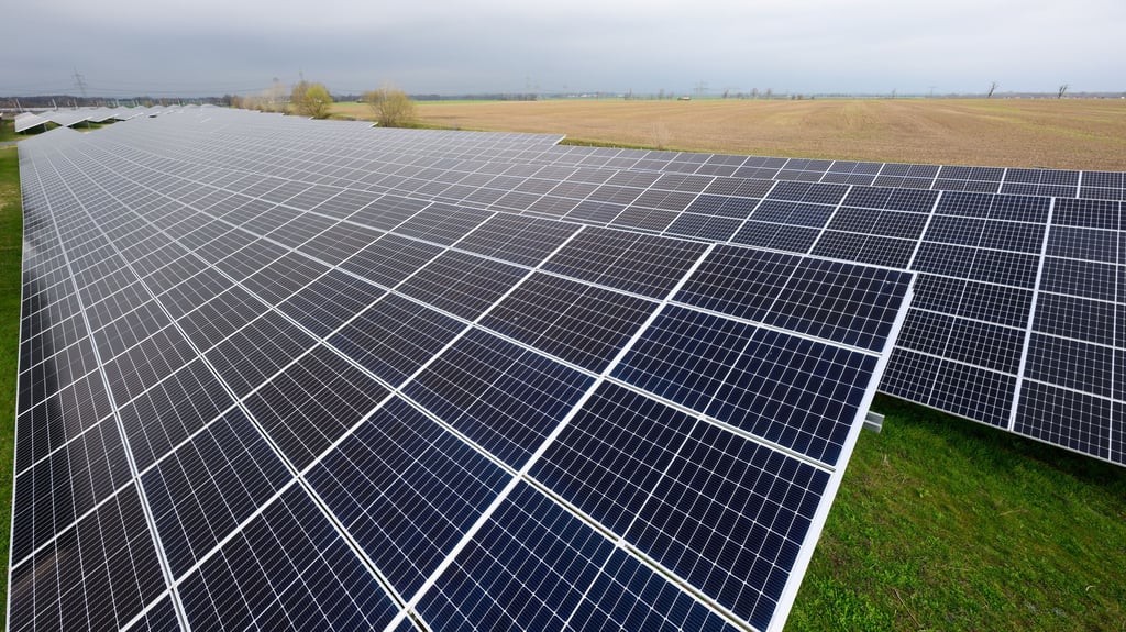 Die Low Carbon GmbH aus Berlin will in Falkenstein großflächig Photovoltaikanlagen errichten. 