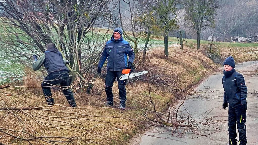 Am Feldweg von Groß Schierstedt nach Mehringen wurden auch Baumpflegearbeiten durchgeführt.