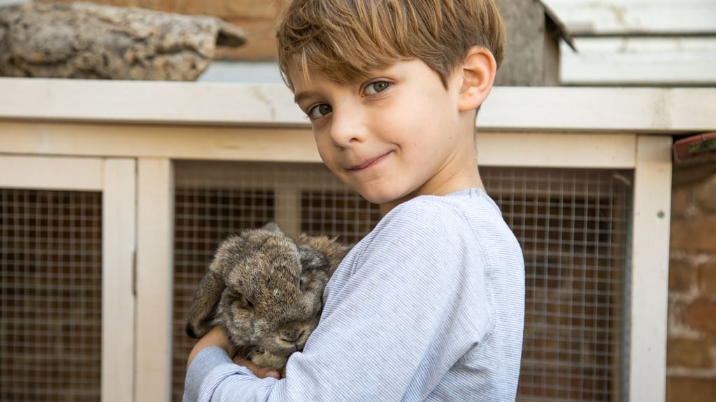 Haustiere sind keine Kuscheltiere und sollten Kindern nur unter Aufsicht nahekommen.