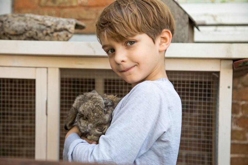 Haustiere sind keine Kuscheltiere und sollten Kindern nur unter Aufsicht nahekommen.
