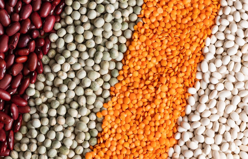 Die Kombination verschiedener pflanzlicher Eiweißquellen sorgt dafür, dass alle essenziellen Aminosäuren aufgenommen werden.