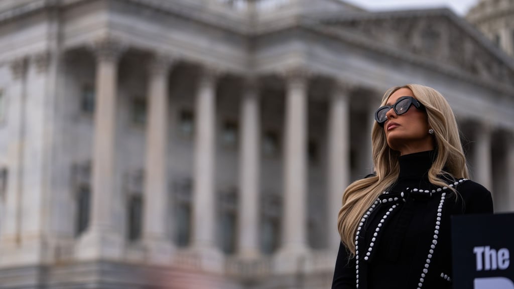 US-Realitystar Paris Hilton tritt als Aktivistin auf. (Archivbild)