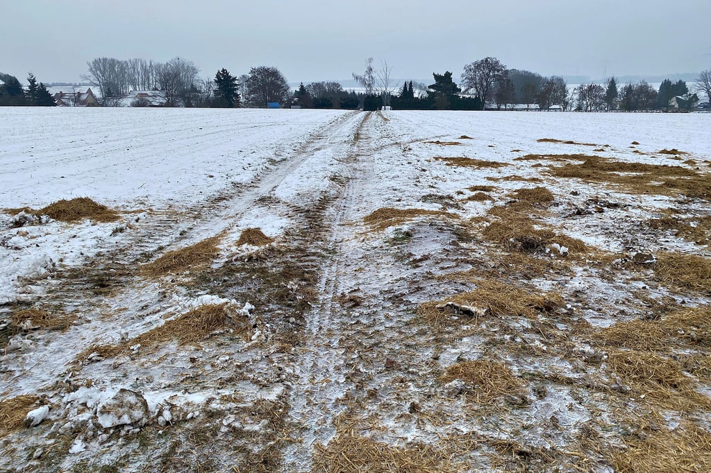 Nur noch das Stroh auf dem Feld neben Weißenborn zeugt von dem Polizeigroßeinsatz am Mittwoch. Die Grube, in dem das gefundene Sprengmaterial zur Detonation gebracht worden war, war mit Strohballen umstellt worden. Von der Grube ist am Donnerstag nichts mehr zu sehen.