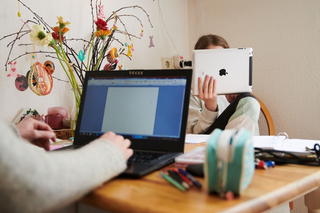 Der Brandenburger Landtag hat über einen AfD-Antrag zur Änderung der Schulpflicht für mehr häusliches Lernen entschieden. (Symbolbild)