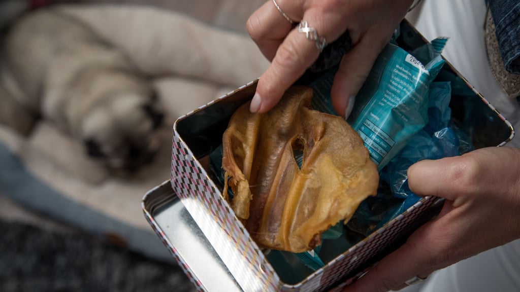 Nach dem Anfassen von Hundesnacks ist gründliches Händewaschen wichtig: So bleibt das Risiko für Mensch und Tier gering.