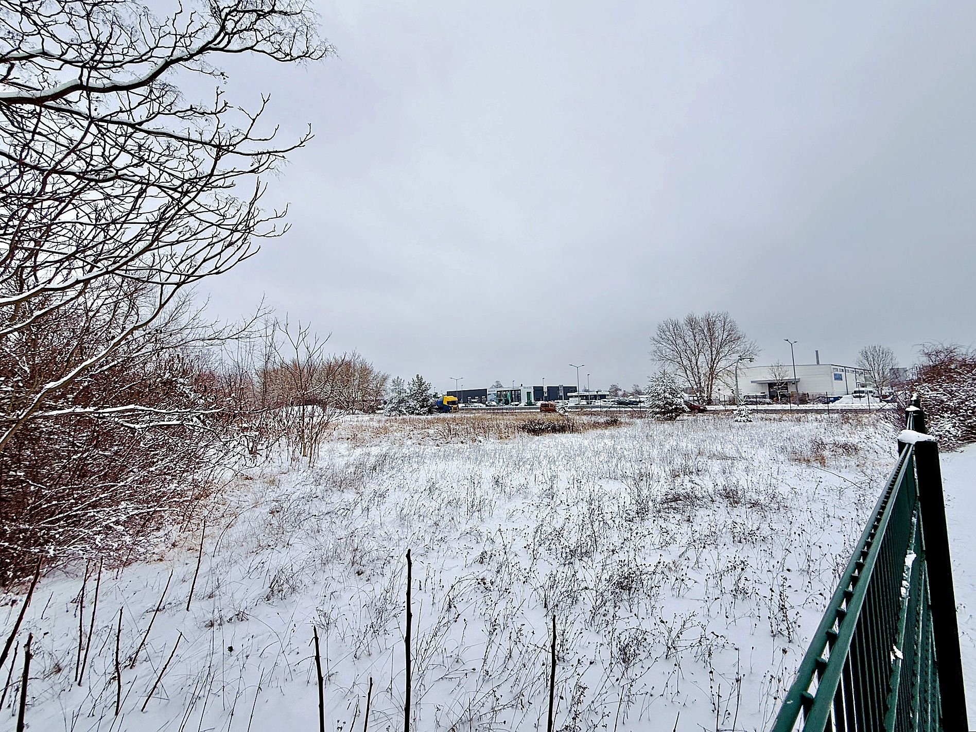 Kritik an Stadtverwaltung: Warten auf die Hundewiese im Dessauer Westen - Im Stadtbezirksbeirat wächst Frust über Untätigkeit