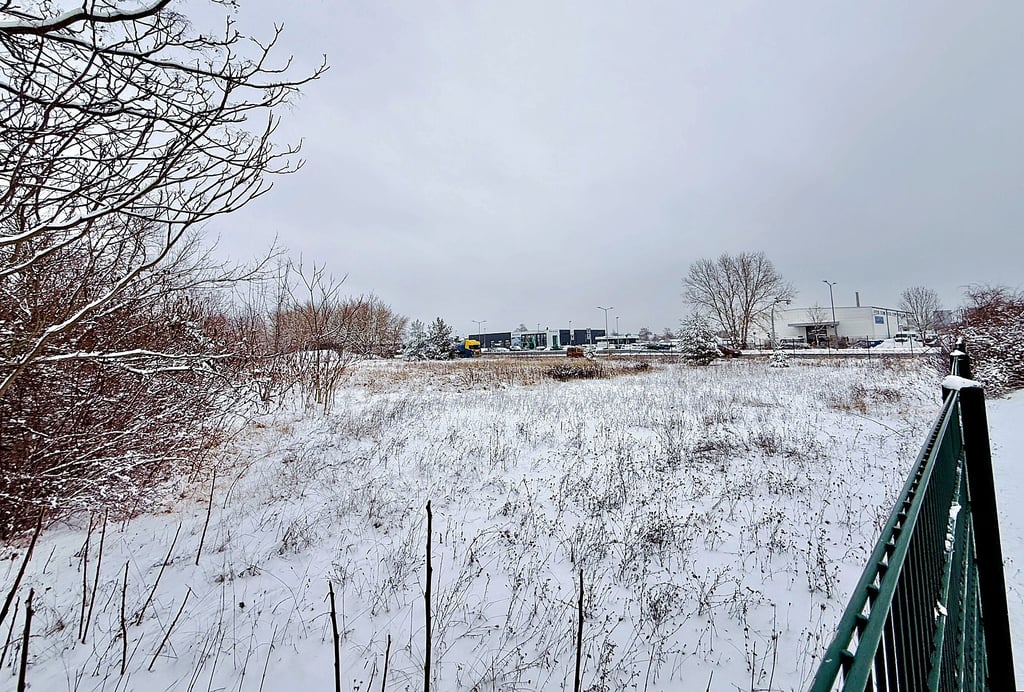 Nahe der  Mannheimer Straße im Dessauer Westen soll eine Hundefreilauffläche entstehen.