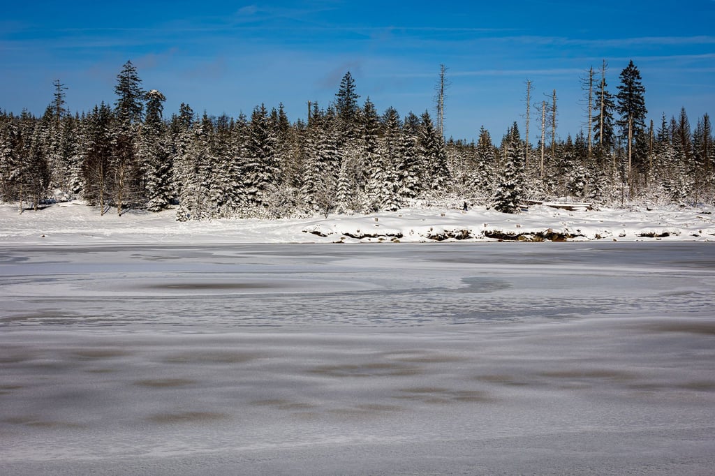 Strengstens verboten: Die Harzwasserwerke warnen davor, vereiste Teiche und Talsperren im Harz zu betreten. (Archivbild)