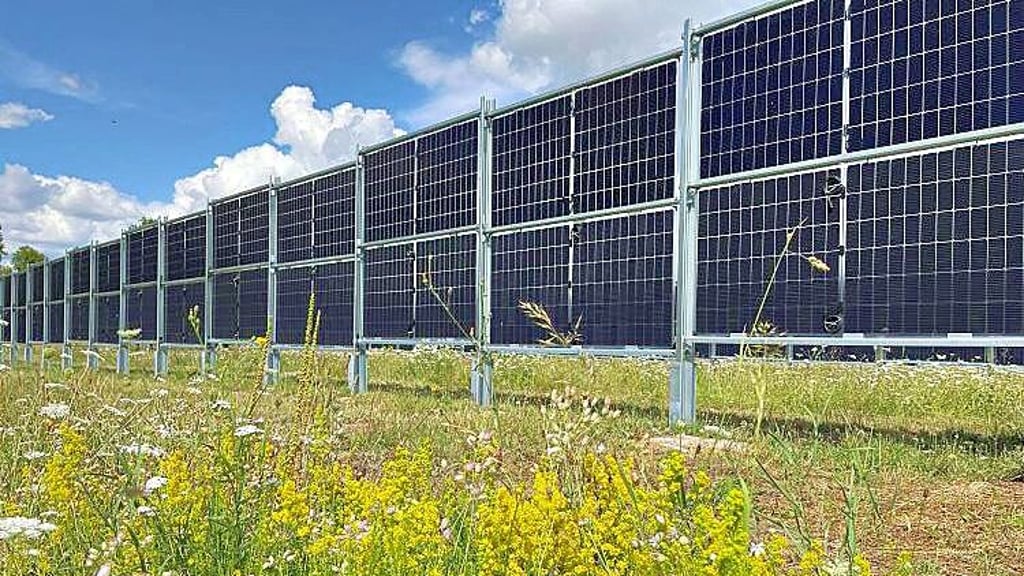 Bei Agri-Photovoltaik kann gleichzeitig Sonnenenergie gewonnen und Landwirtschaft betrieben werden. 