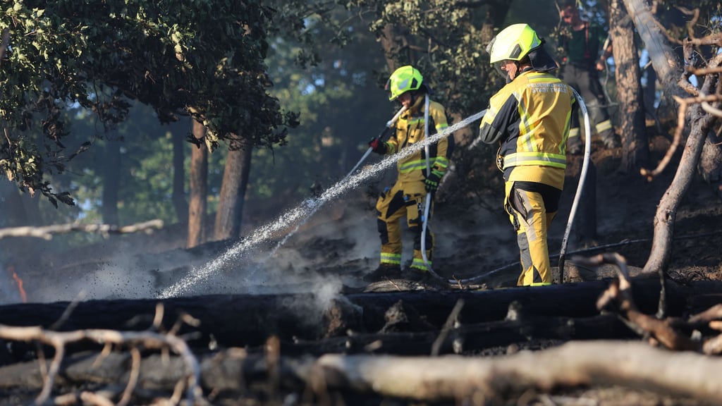 Mit der neuen Waldbrand-Schutzkleidung sind Feuerwehrleute aus Thale im Einsatz – hier beim Waldbrand auf dem Lindenberg im Juli 2025.