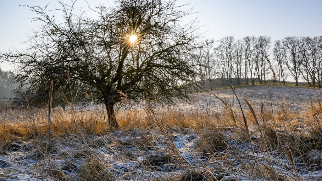 Am Wochenende lockert die dichte Wolkendecke stellenweise auf und macht den Blick auf den Himmel frei. (Symbolbild)