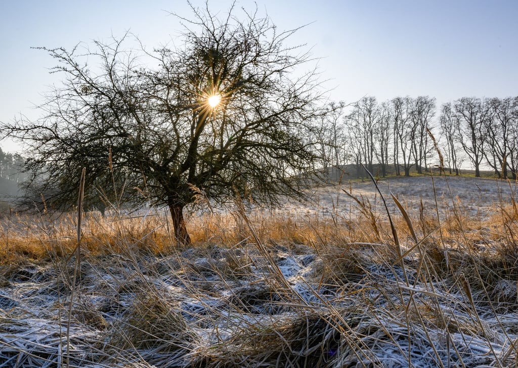Am Wochenende lockert die dichte Wolkendecke stellenweise auf und macht den Blick auf den Himmel frei. (Symbolbild)
