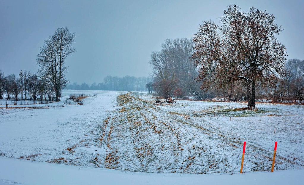Der Deich  von Ostrau nach Göbitz soll saniert und erhöht werden. Nach dem Winter können  die Arbeiten beginnen. 