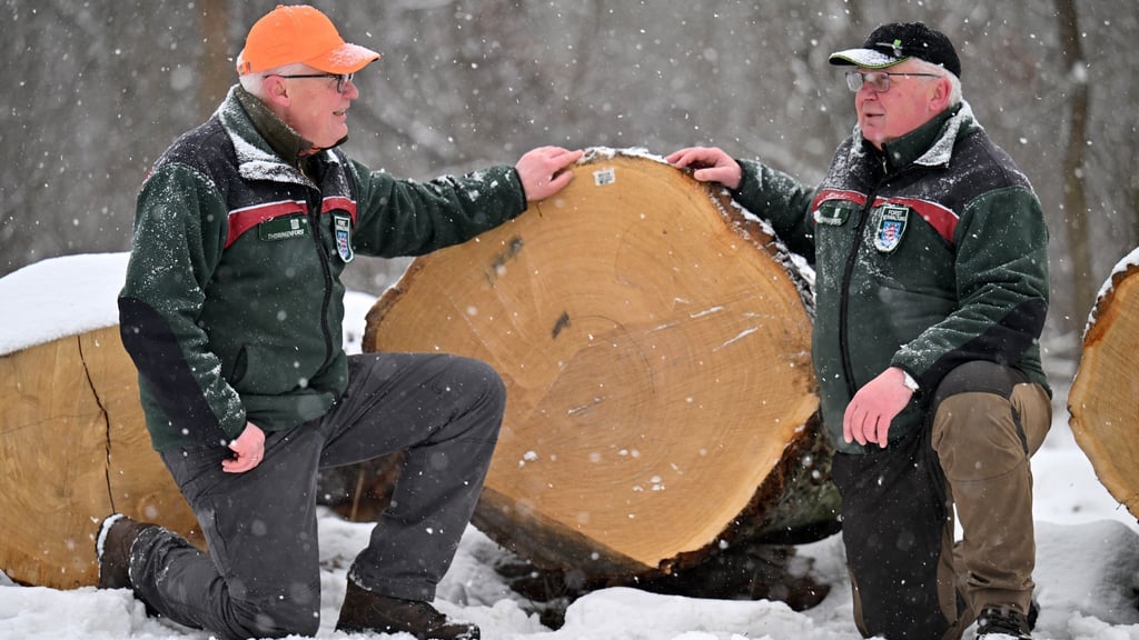 Hölzer aus Thüringens Wäldern wurden versteigert.