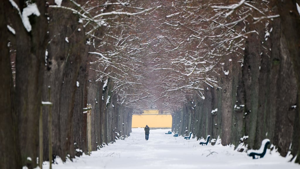 Frost und Schnee bestimmen aktuell das Bild in Niedersachsen und Bremen. (Archivbild)