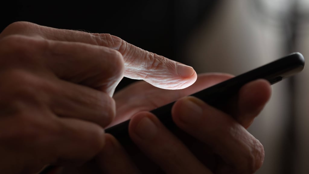 Love-Scamming ist weit verbreitet. In Bitterfeld-Wolfen sind zwei Männer Opfer dieser Betrugsmasche geworden.