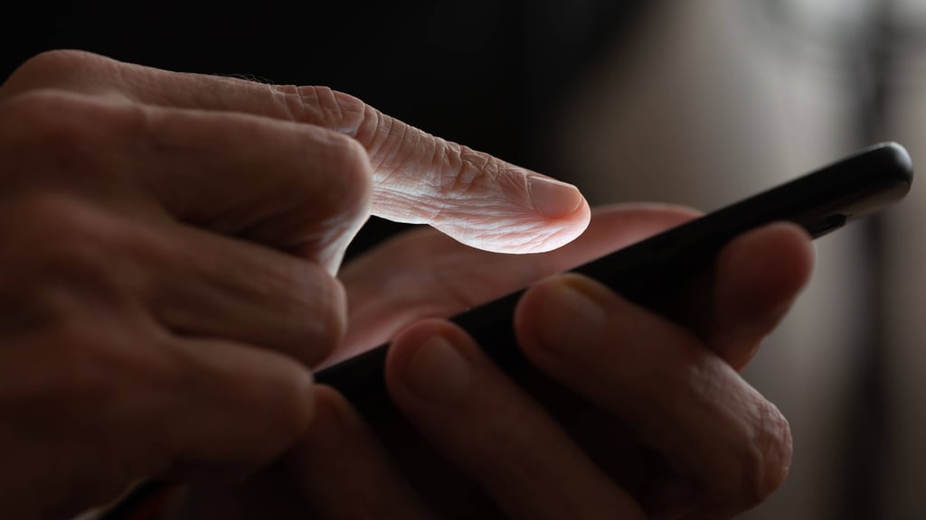 Love-Scamming ist weit verbreitet. In Bitterfeld-Wolfen sind zwei Männer Opfer dieser Betrugsmasche geworden.