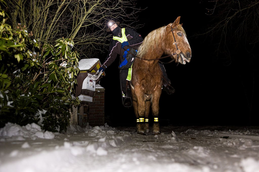 Marcus Zotan trägt am frühen Morgen auf dem Rücken seines Pferdes Wilko die Cellesche Zeitung in dem Dorf Wiedenrode im Landkreis Celle aus.