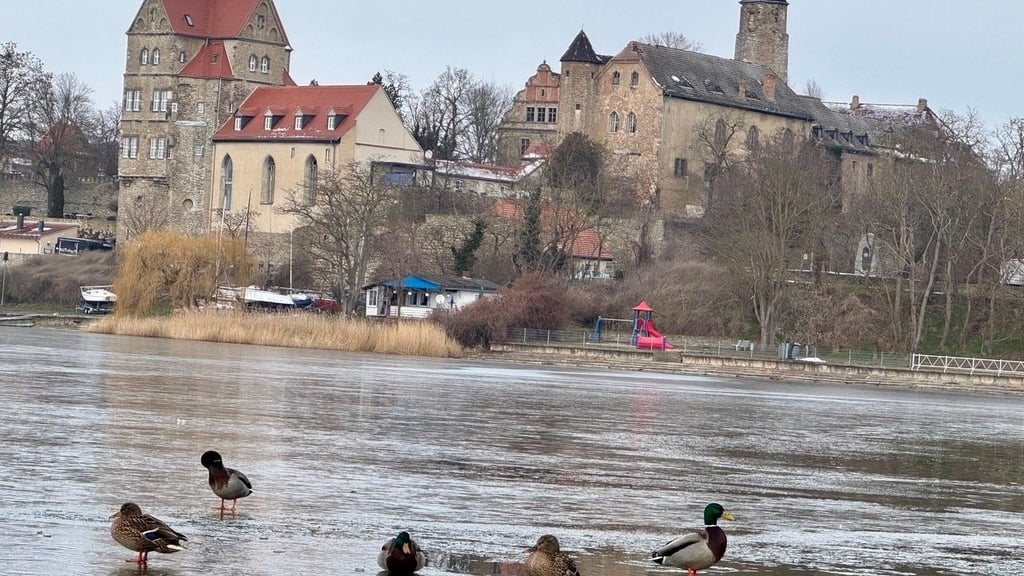 Seit Hunderten von Jahren thront das Schloss Seeburg über dem Süßen See. Nun gibt es einen Dokumentarfilm über das historische Gebäude.