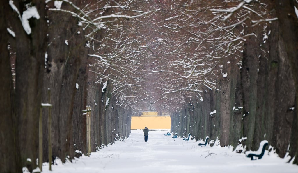 Frost und Schnee bestimmen aktuell das Bild in Niedersachsen und Bremen. (Archivbild)