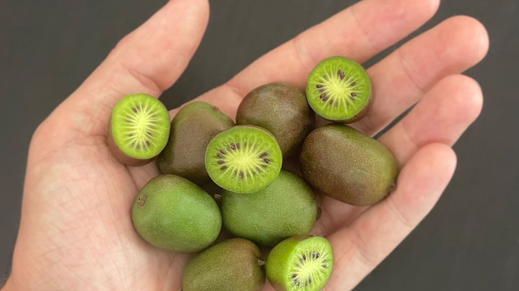 Kiwibeeren stammen ursprünglich aus Nordostasien und sind bis Minus 25 Grad Celsius winterhart.