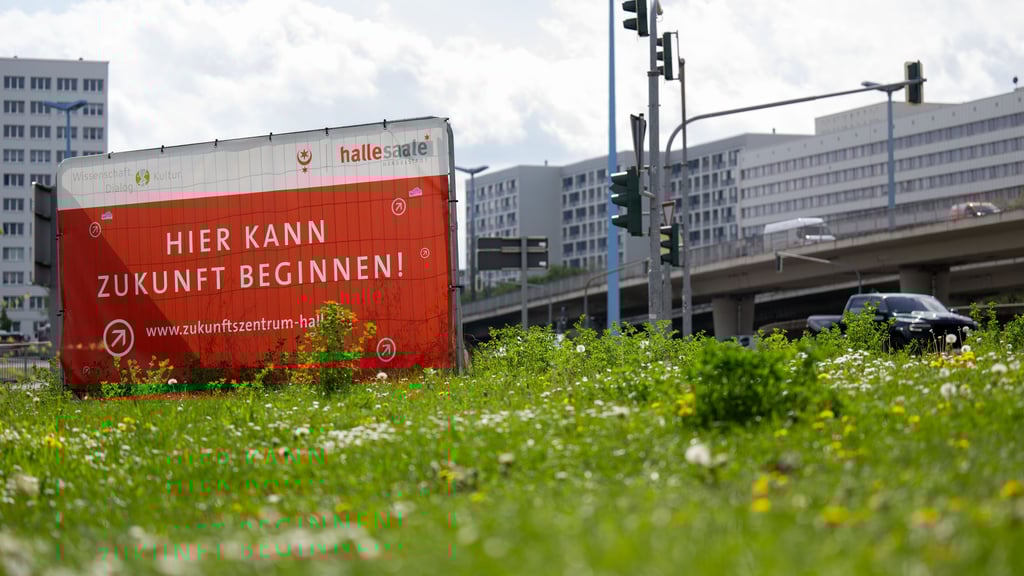 Der Unternehmensstandort Sachsen-Anhalt präsentiert sich laut Forschern des Leibniz-Zentrums in Mannheim mit Licht und Schatten.