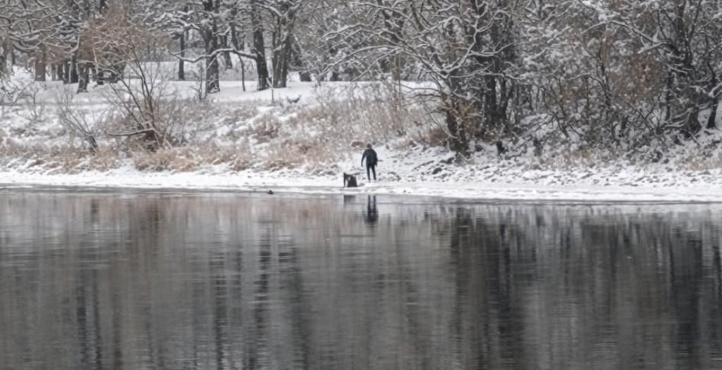 Am Ufer der Hundewiese an der Sternbrücke: Ein Hund – auf dem Foto nur als kleiner schwarzer Punkt im Wasser zu sehen – schwimmt in der Elbe in Magdeburg. Zwei Personen am Ufer versuchen ihn zu retten.