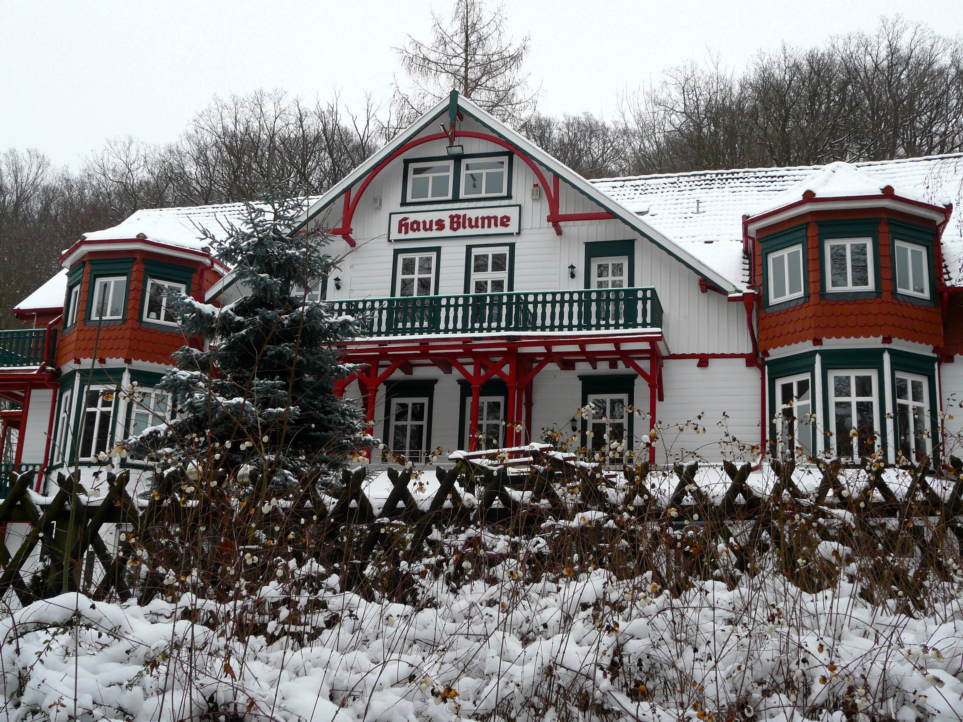 Heimatgeschichte Harz: Wie das „Haus Blume“ in Wernigerode zu seinem Namen gekommen ist