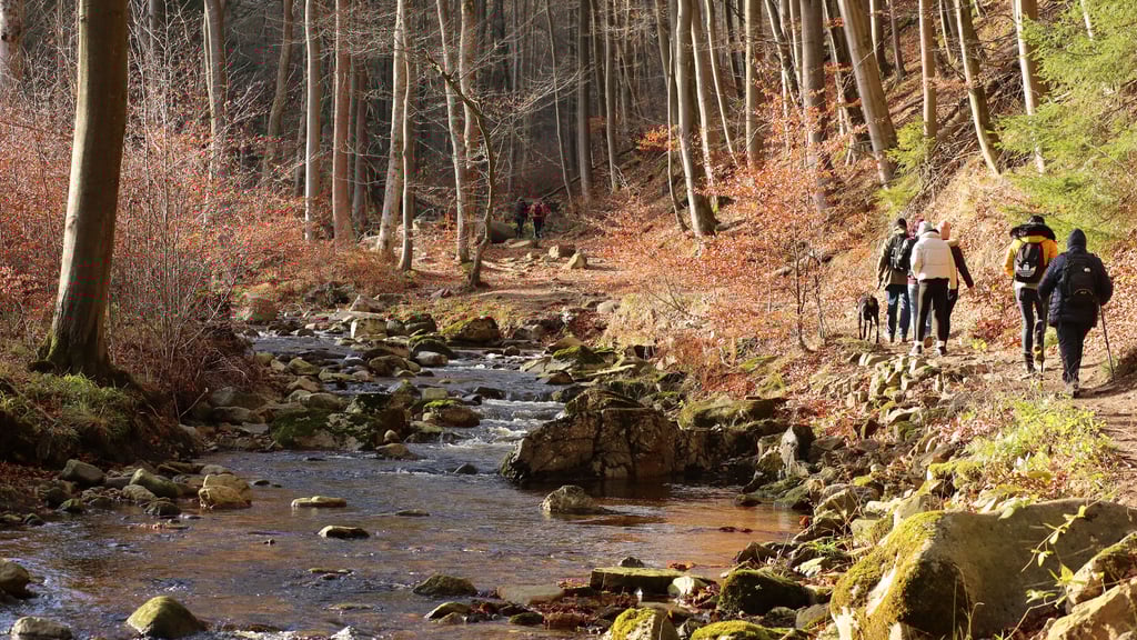 Wandern im Nationalpark Harz: Der wohl schönste Aufstieg zum Brocken führt auf dem Heinrich-Heine-Weg an den Ilsefällen entlang.