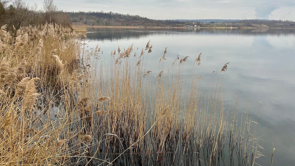Das Gelände am Geiseltalsee, wo das Ferienresort Mücheln entsteht, ist bisher weder touristisch noch wirtschaftlich genutzt.