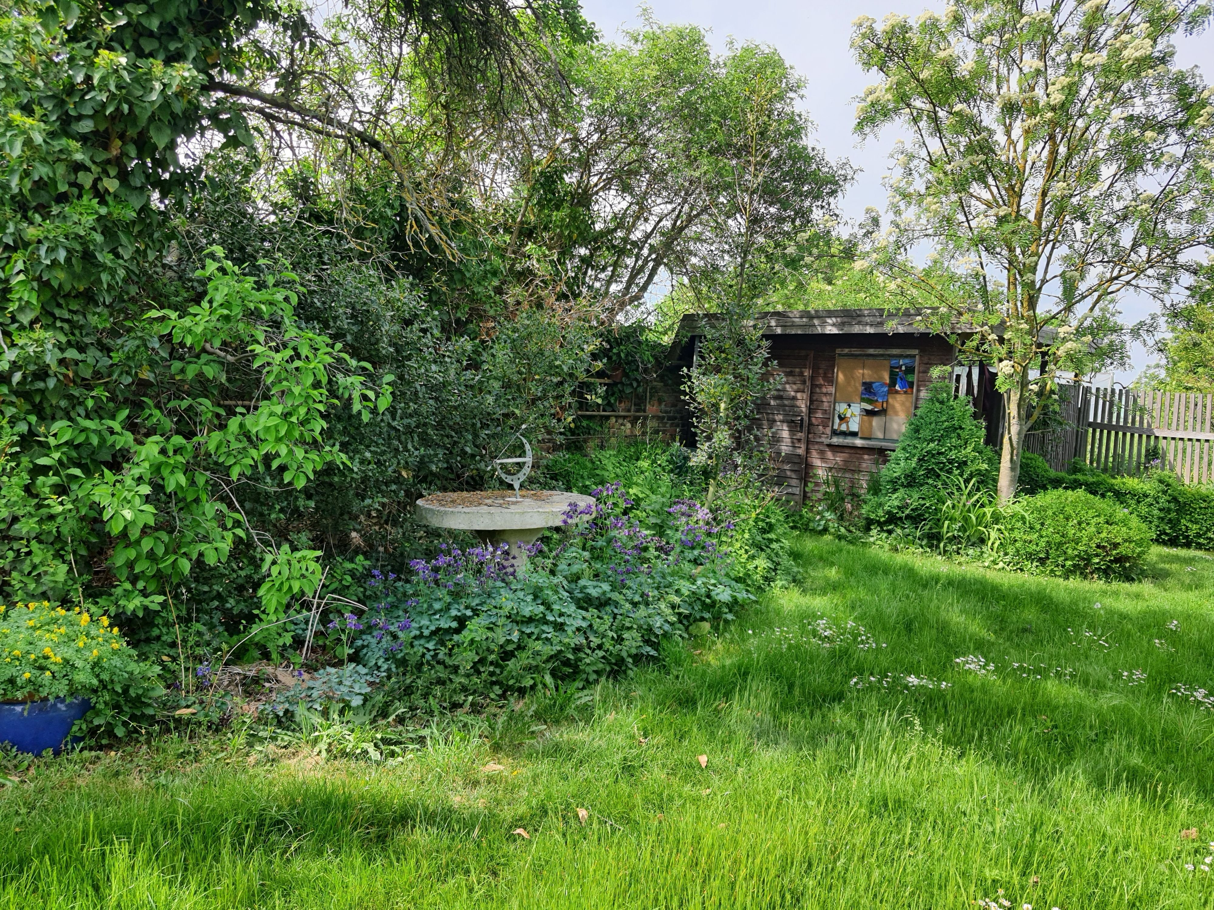 Veranstaltungstipp im Harz: Peter-Wohlleben-Lesung in Veltheim: Das geheime Band zwischen Mensch und Natur