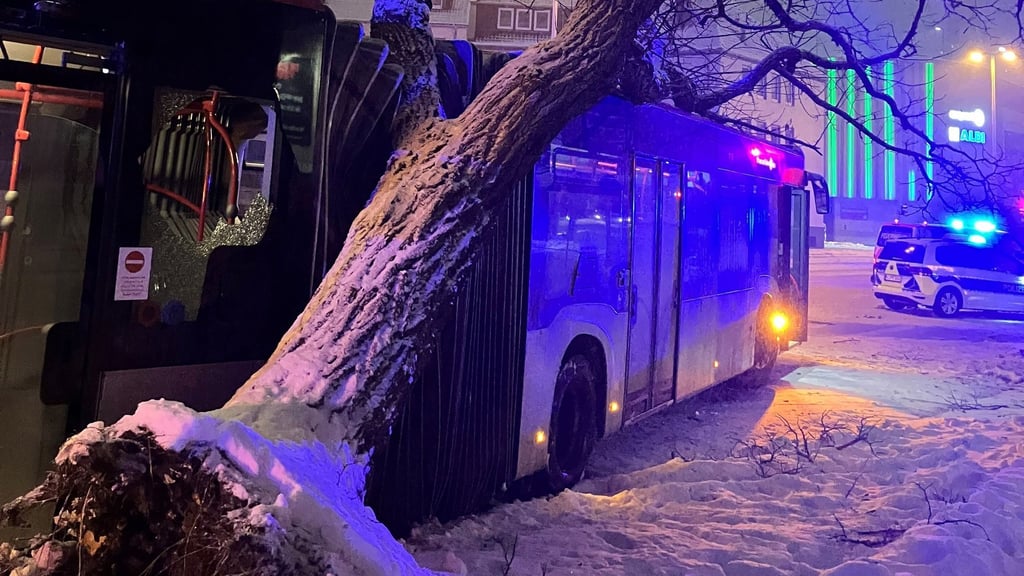 Bei Winterwetter in Hildesheim ist ein Bus gegen einen Baum gefahren und hat diesen entwurzelt.