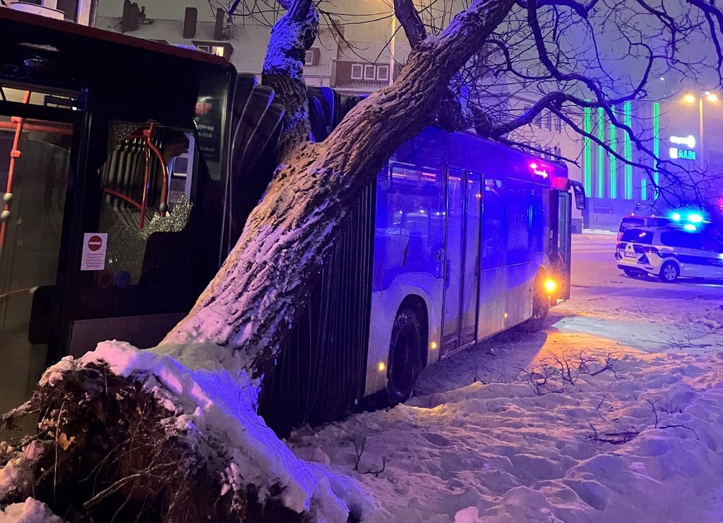 Bei Winterwetter in Hildesheim ist ein Bus gegen einen Baum gefahren und hat diesen entwurzelt.