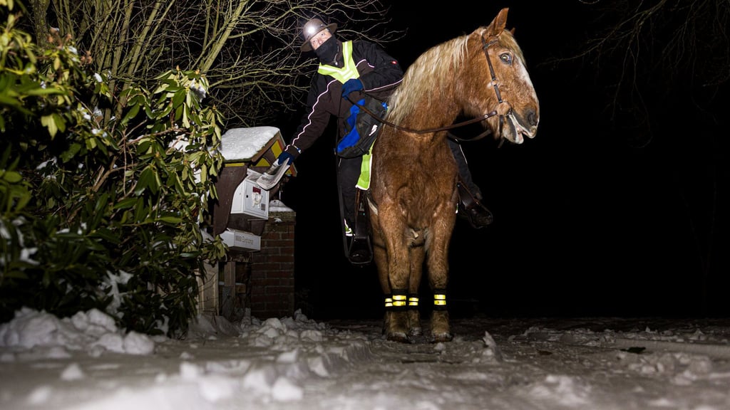 Marcus Zaton trägt am frühen Morgen auf dem Rücken seines Pferdes Wilko die Cellesche Zeitung in dem Dorf Wiedenrode im Landkreis Celle aus.