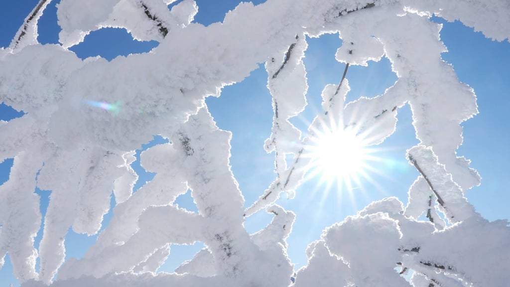 Der aktuelle Winter ist sehr trocken. Die Trockenheit könnte dramatische Folgen für den Sommer haben.