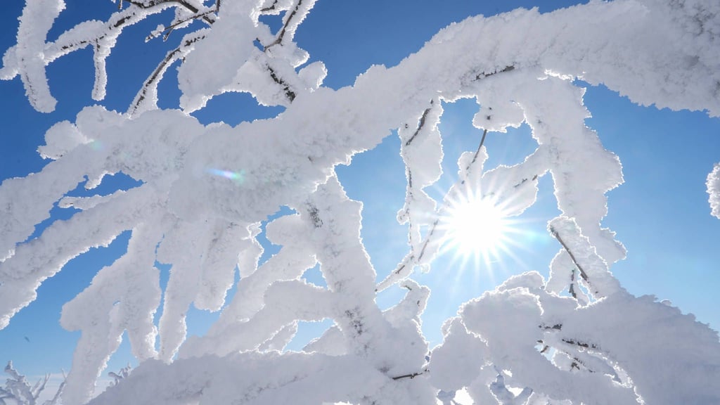 Der aktuelle Winter ist sehr trocken. Die Trockenheit könnte dramatische Folgen für den Sommer haben.