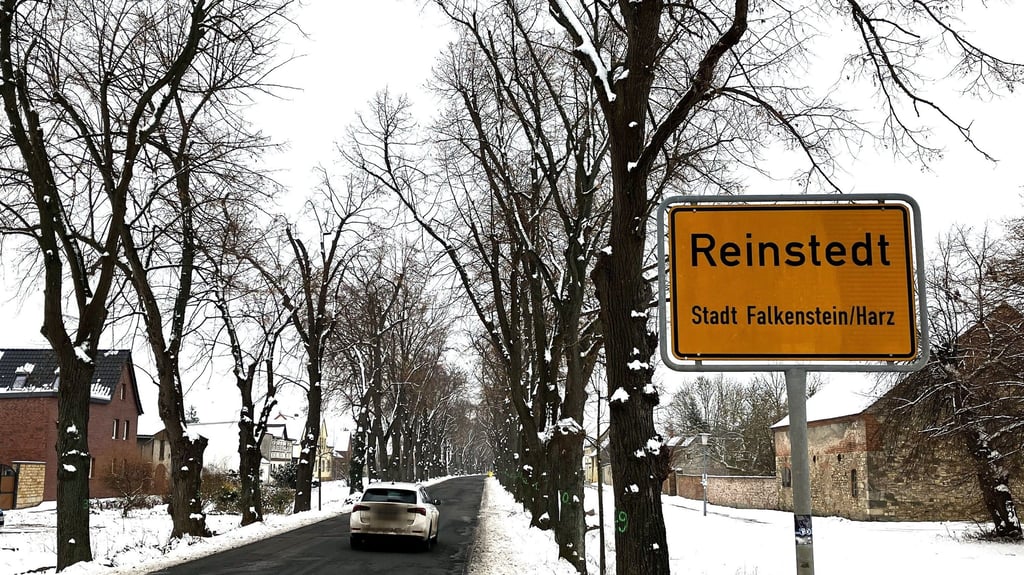 Ein besonderer Anblick am Ortseingang: Rund 100 Linden säumen den Witteranger in Reinstedt.