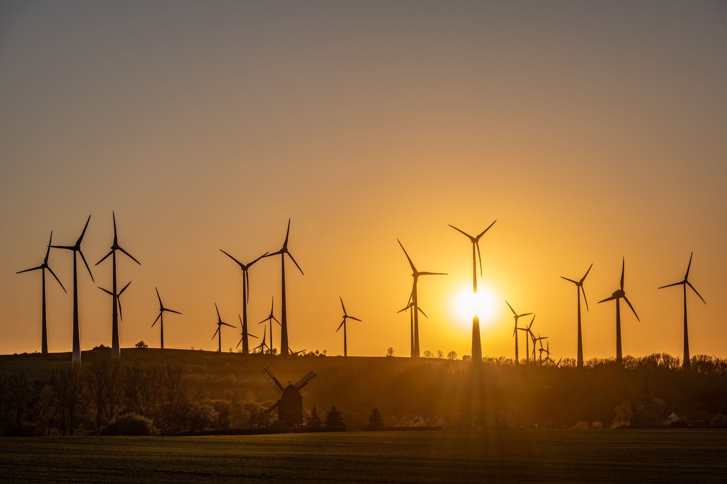 Erneuerbare Energie im Harz: Halberstadt: Stadtwerke wollen Bürgergenossenschaft für geplanten neuen Windpark