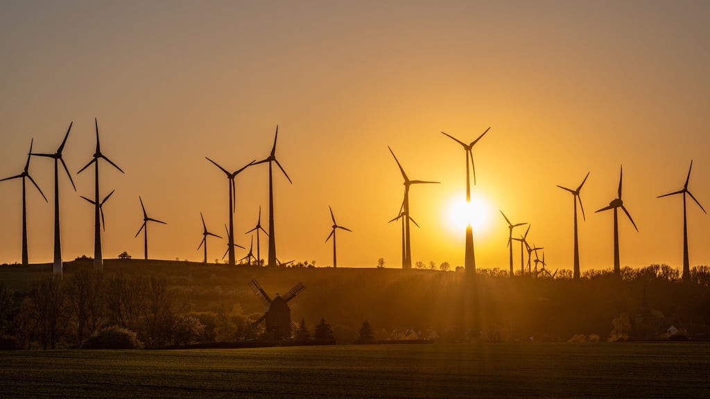 Dieser Blick von Badersleben auf den Windpark am Druiberg zeigt: Windnutzung hat eine lange Geschichte, wie die Baderslebener Windmühle im Vordergrund des Bildes zeigt. 