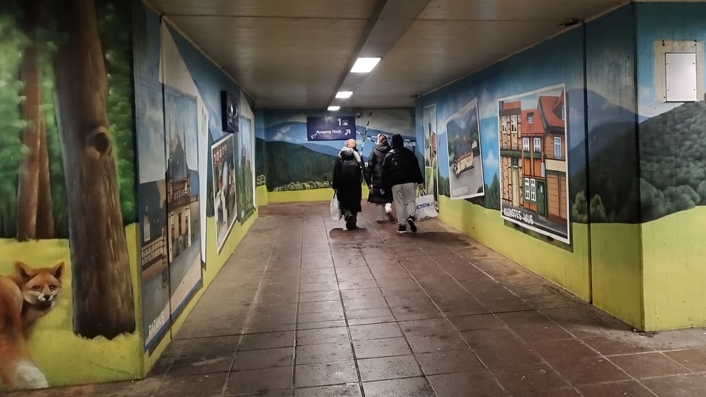 Nicht nur Reisende frequentieren die Unterführung des Wernigeröder Hauptbahnhofs. Der Tunnel soll ein Jugendtreff geworden sein – in dem auch Drogen konsumiert und Böller gezündet werden.