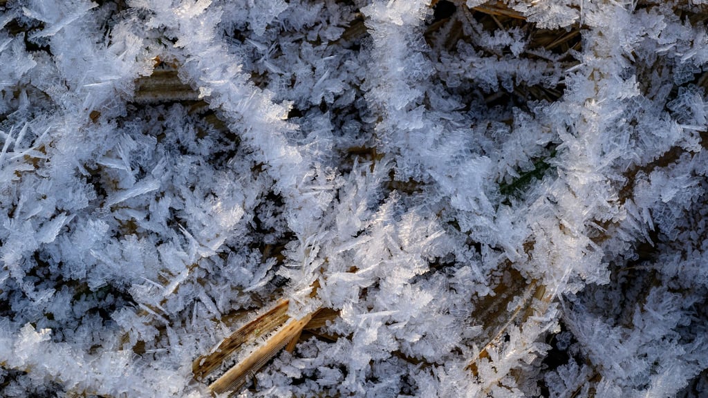 Nach der Wetterprognose des DWD wird es wolkig und es weht ein mäßiger Wind, am Montag wird es teils böig. (Symbolbild)