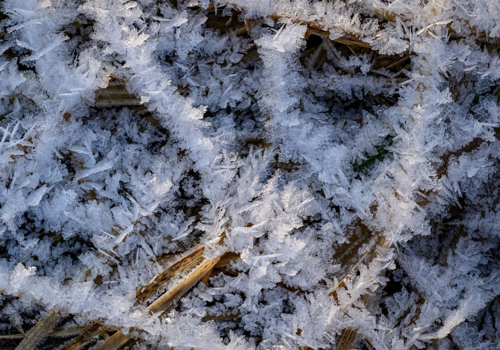 Nach der Wetterprognose des DWD wird es wolkig und es weht ein mäßiger Wind, am Montag wird es teils böig. (Symbolbild)