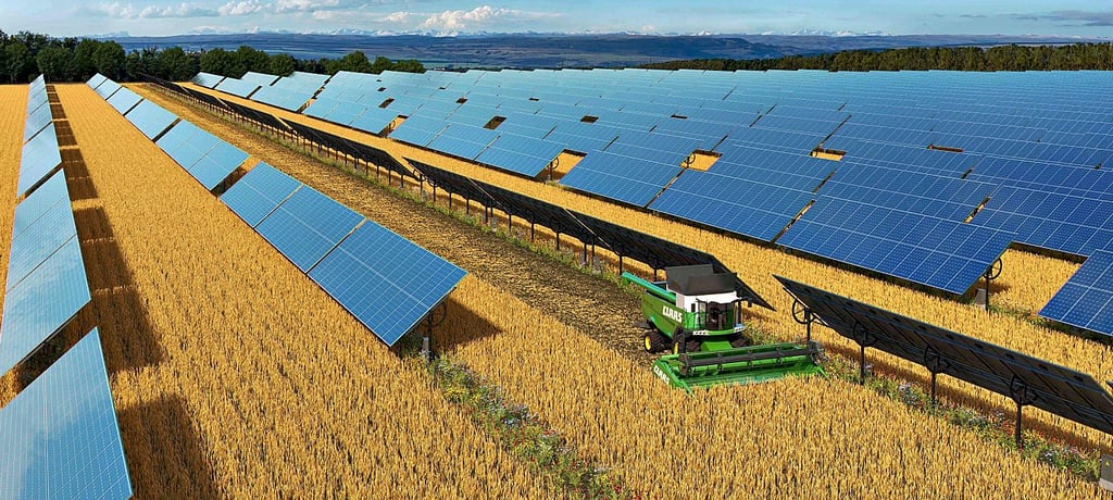 Agri-PV-Anlagen lassen trotz Solarpanelen die landwirtschaftliche Bewirtschaftung zu. 