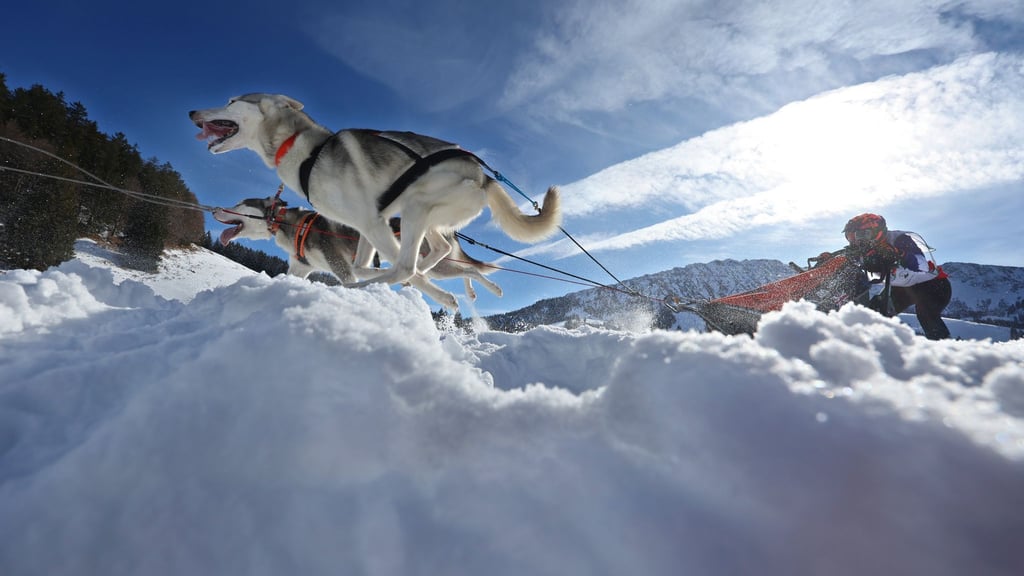 Teams aus etlichen Ländern in Europas gingen im bayerisch-österreichischen Grenzgebiet an den Start.
