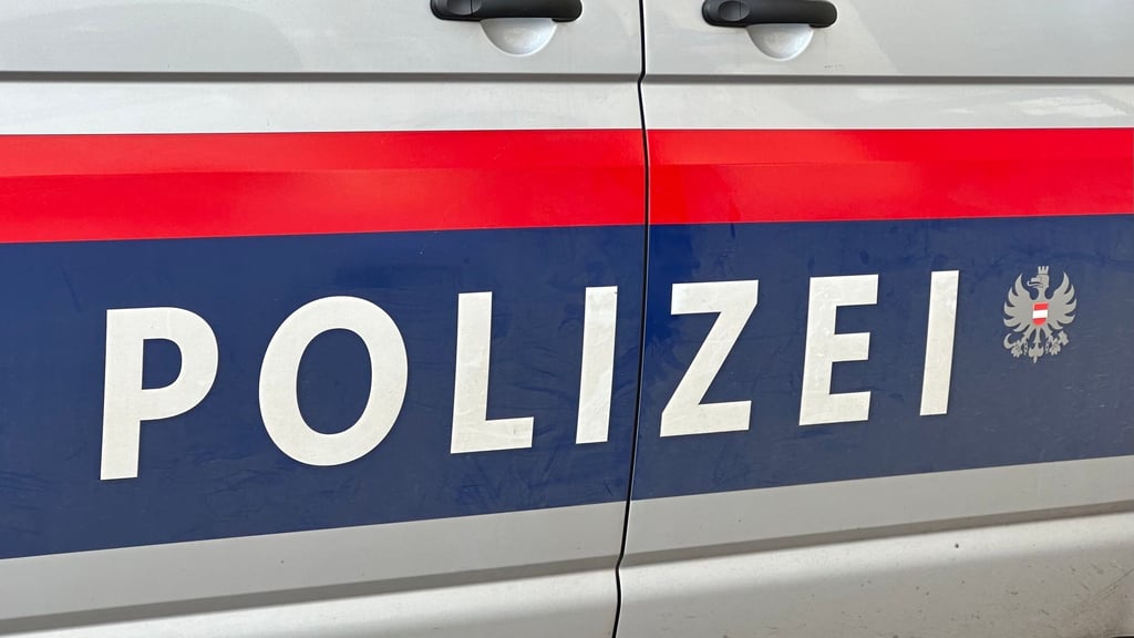 Im Fall der Tötung eines Elfjährigen in Österreich hat sich der Tatverdacht gegen die Mutter laut Polizei erhärtet. (Symbolbild)
